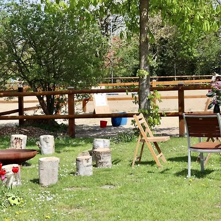 Herzstueck Vom Ponyhof Bassum